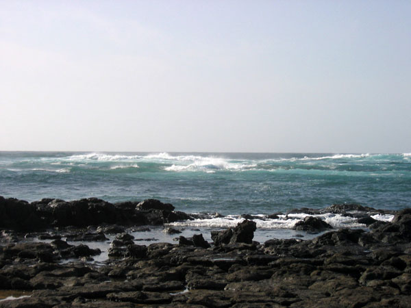 COTILLO--059.jpg
