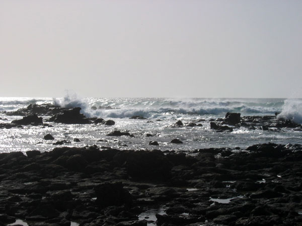 COTILLO--061.jpg